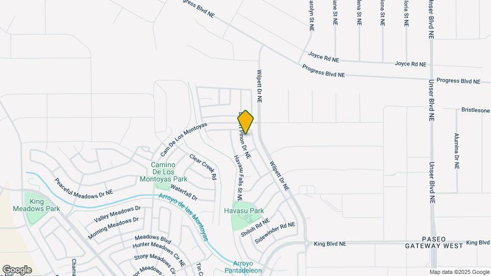 3850 Desert Pinon Dr NE Map and Location Details