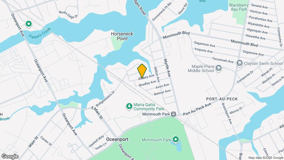 46 Asbury Ave Mapa y Detalles de la Ubicación