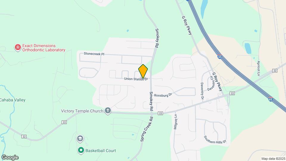 105 Union Station Dr Mapa y Detalles de la Ubicación