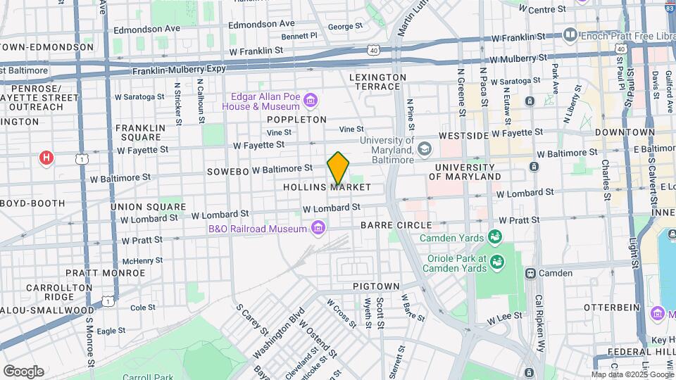869 Hollins St Map and Location Details