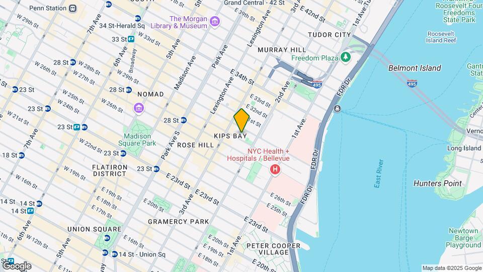 233 E 29th St Mapa y Detalles de la Ubicación