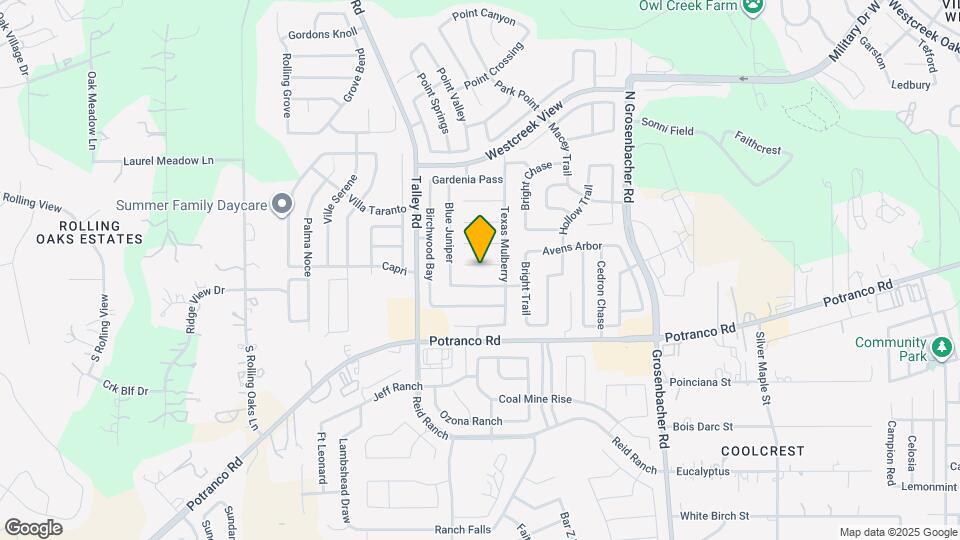 12628 Mexican Plum Map and Location Details