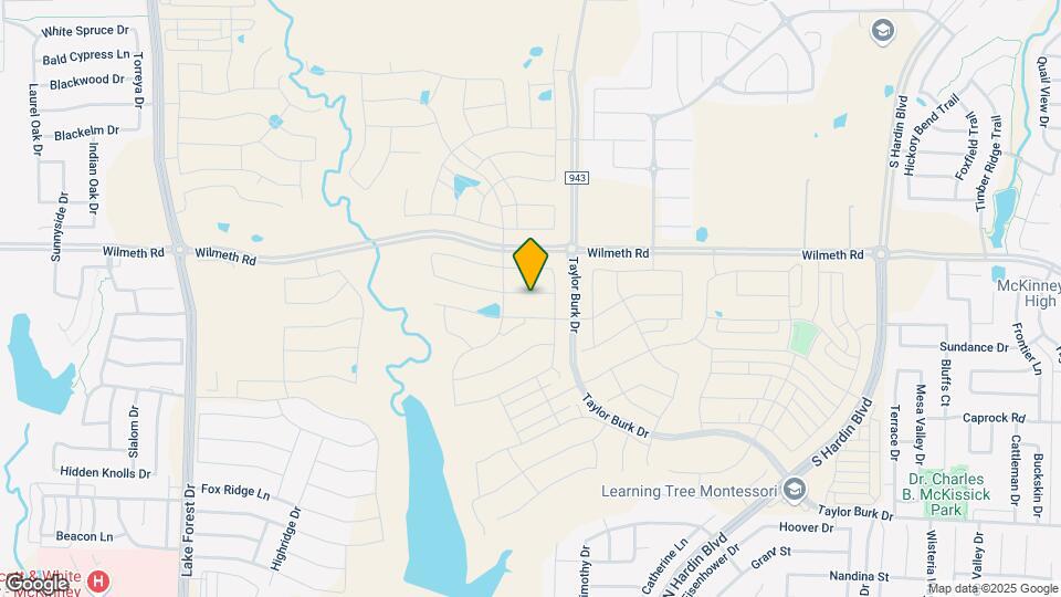 3917 Cherrybark St Map and Location Details