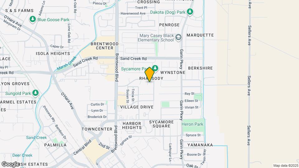 246 White Birch Ct Map and Location Details