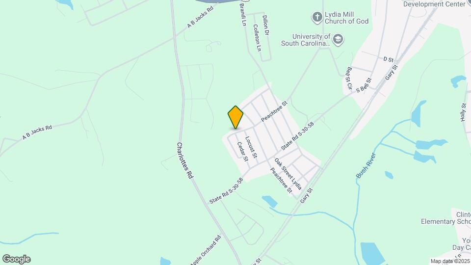 113 Willow St Map and Location Details