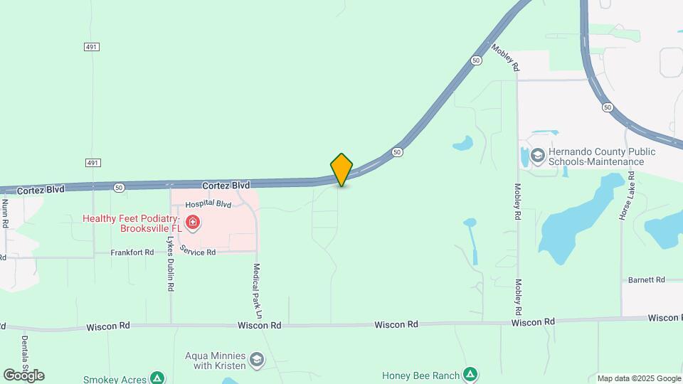 7528 Mia Vine Dr Map and Location Details