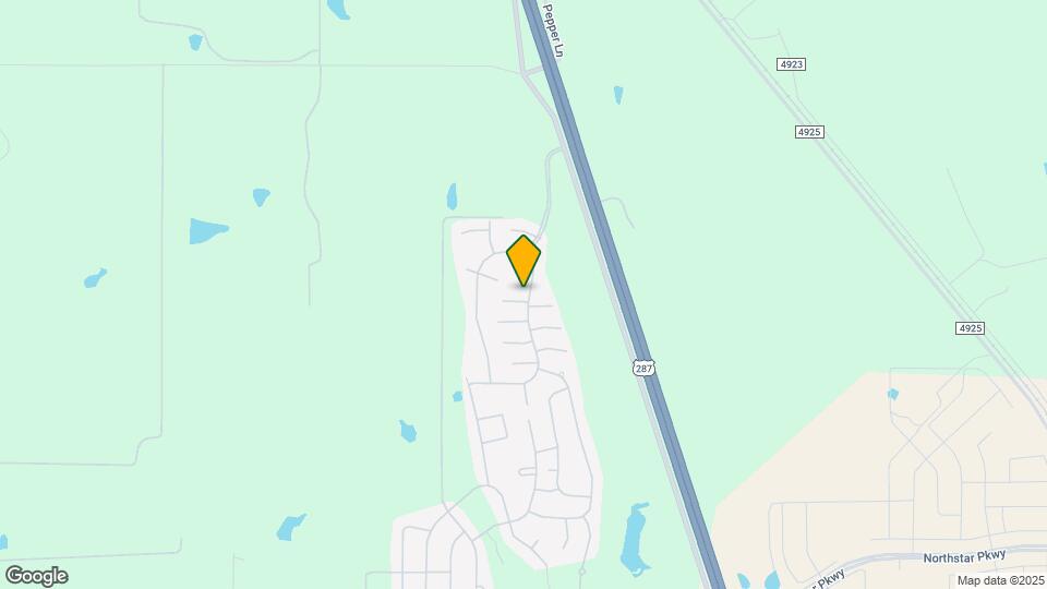 102 Saddlebag Ct Mapa y Detalles de la Ubicación