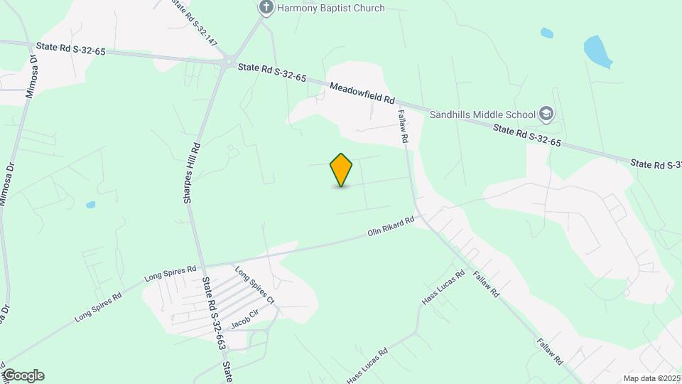 165 King Buck Dr Map and Location Details