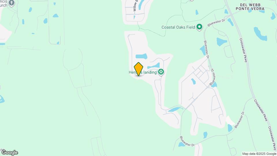 243 Old Bluff Dr Mapa y Detalles de la Ubicación