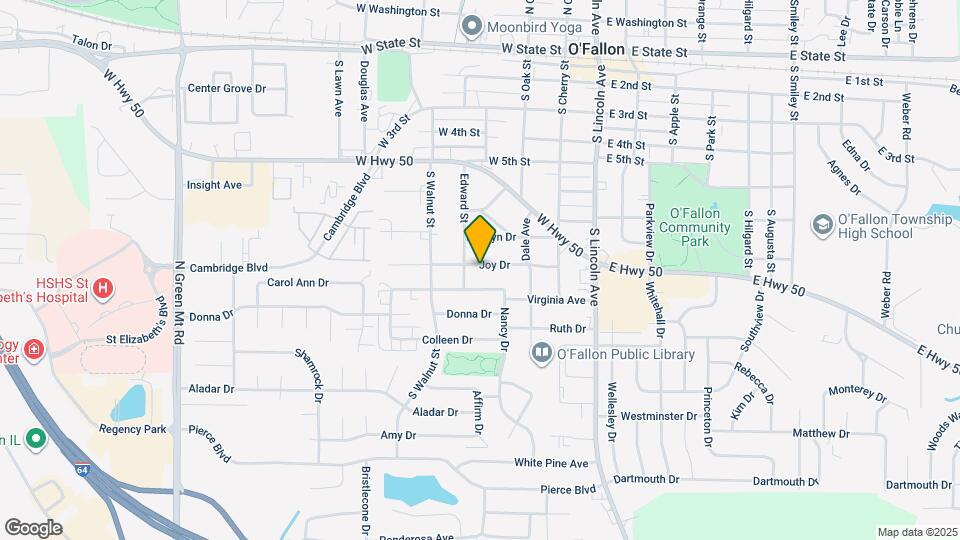 319 Joy Dr Map and Location Details