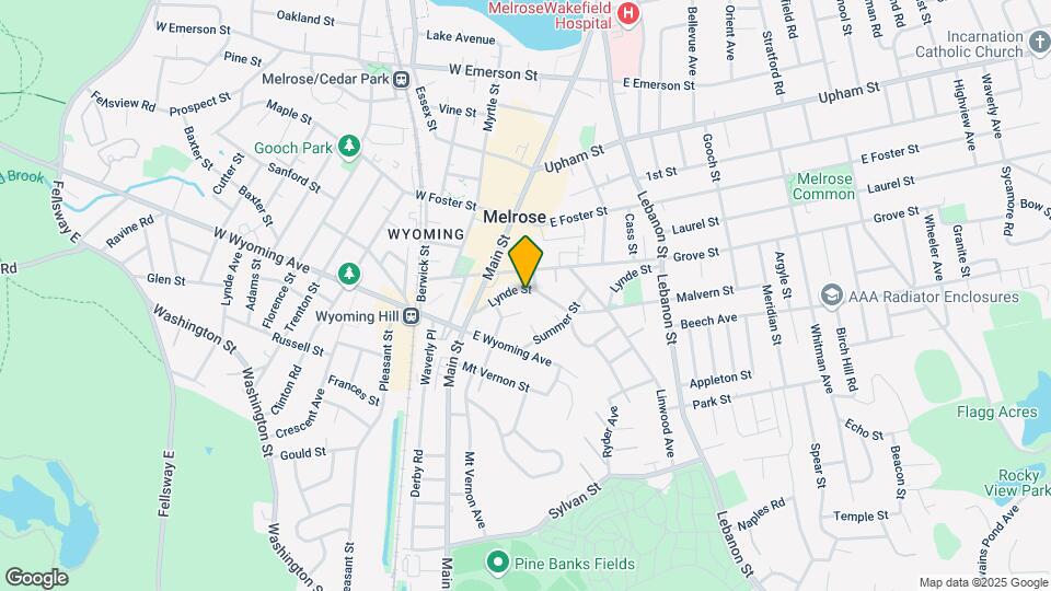 51 Lynde St Mapa y Detalles de la Ubicación
