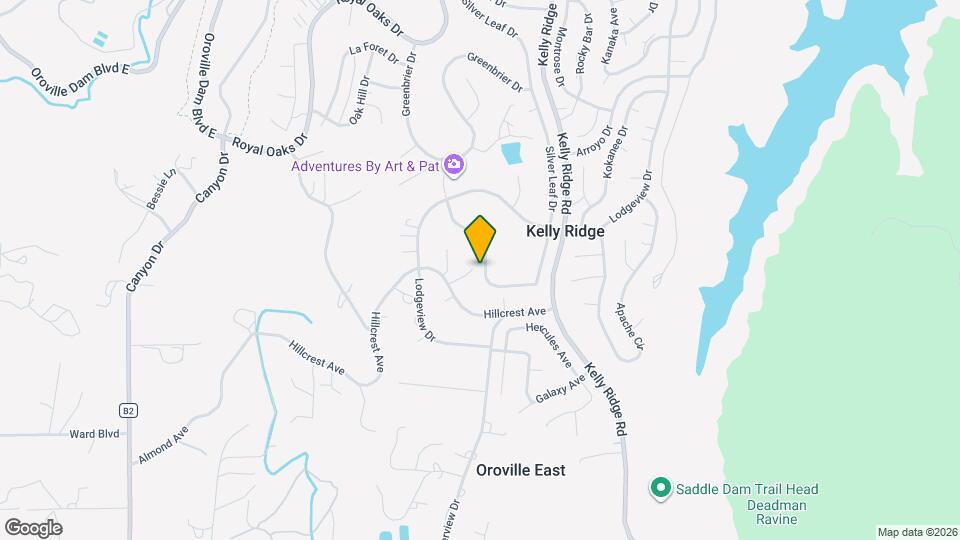 452 Silver Leaf Dr Map and Location Details