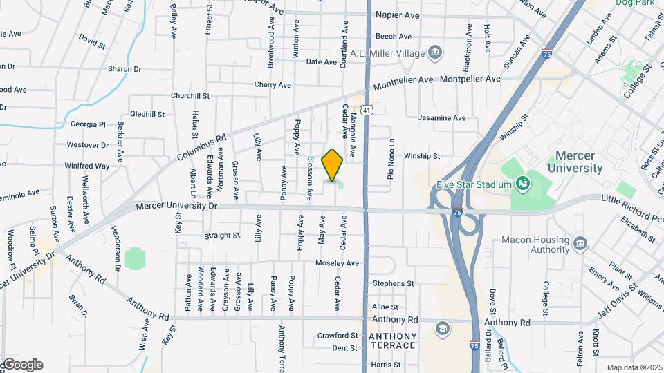 411 Petunia Ave Map and Location Details