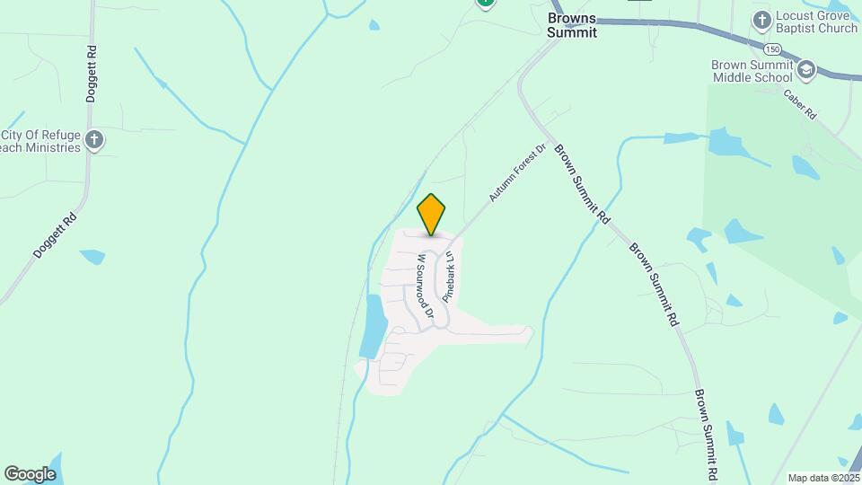 215 Red Spruce Cir Mapa y Detalles de la Ubicación