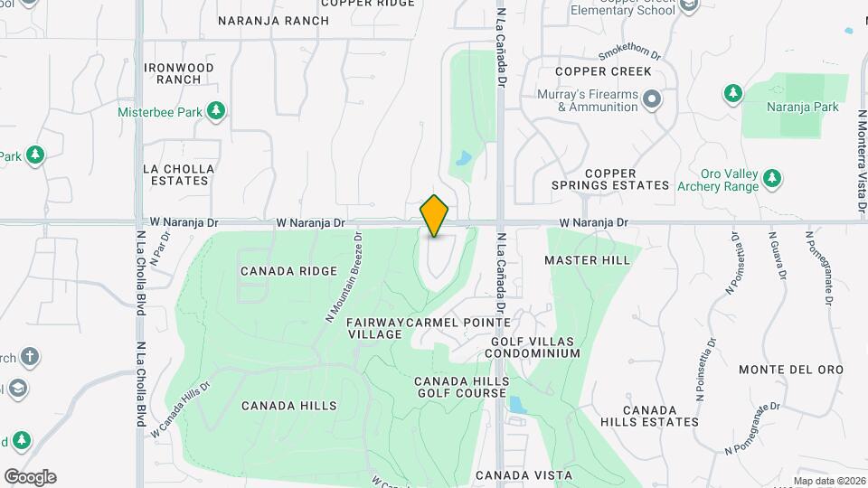 11146 N Desert Flower Dr Map and Location Details