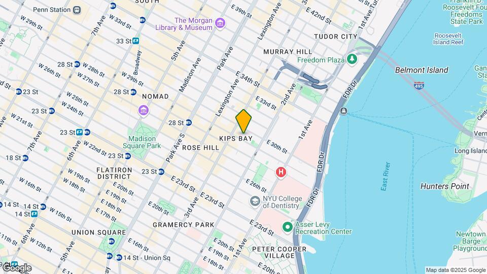 217 East 29th Map and Location Details
