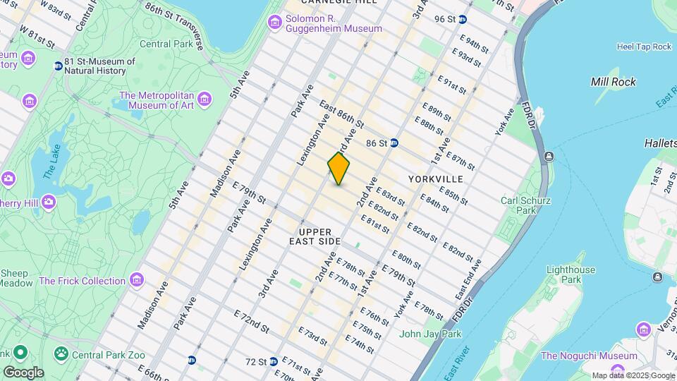 220 E 82nd St Map and Location Details
