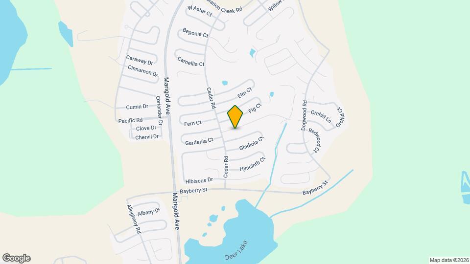 210 Goldenrod Ln Map and Location Details