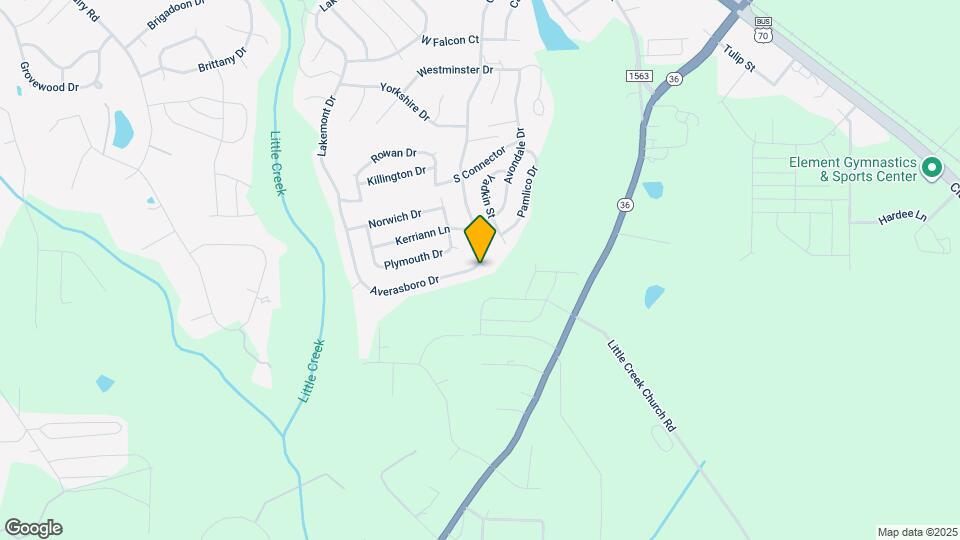 253 Averasboro Dr Mapa y Detalles de la Ubicación