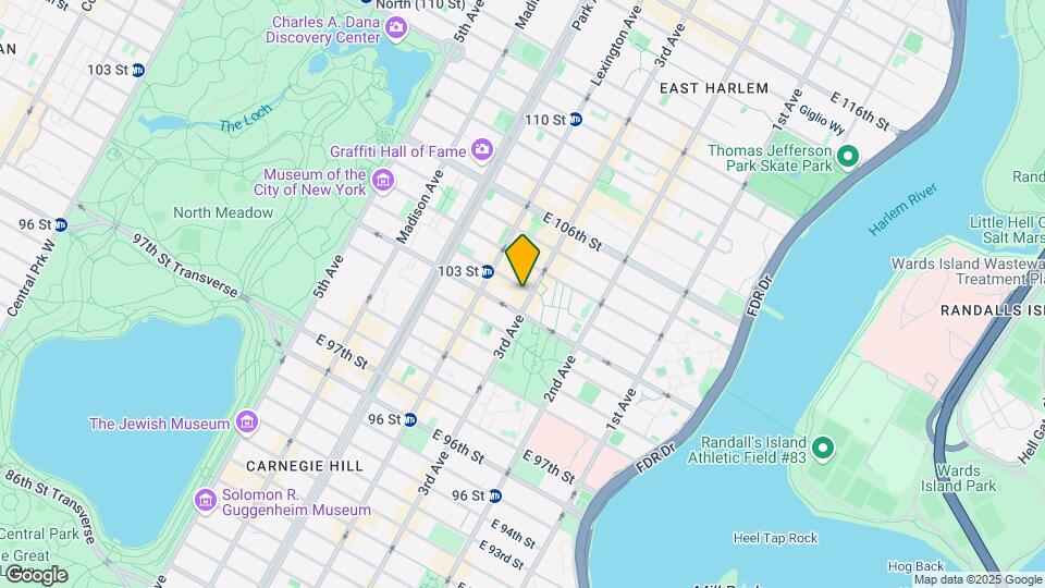 172 E 103rd St Mapa y Detalles de la Ubicación