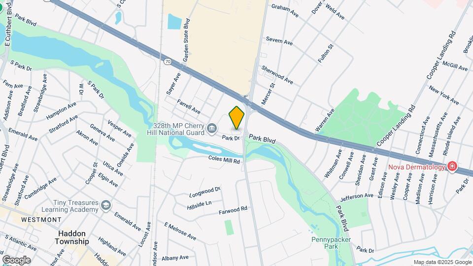 319 Park Pl Dr Map and Location Details