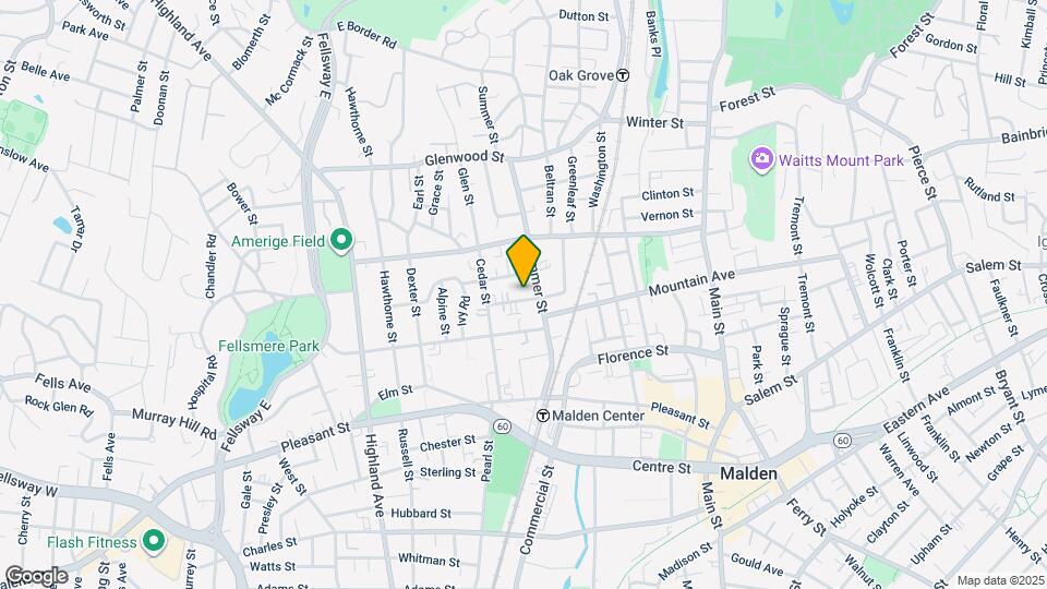 11 Chestnut St Mapa y Detalles de la Ubicación
