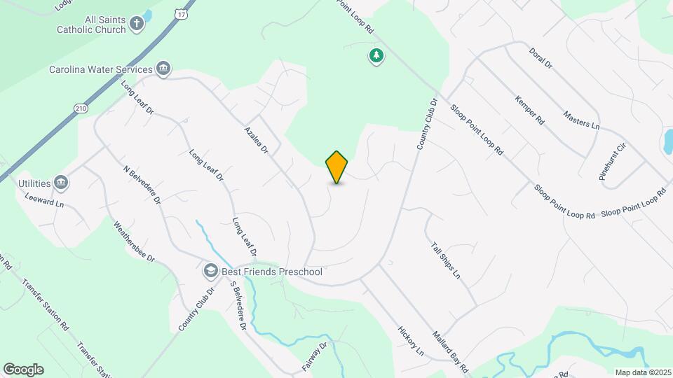 132 Holly Tree Ln Map and Location Details