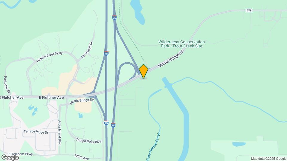 12423 Old Morris Bridge Rd Mapa y Detalles de la Ubicación