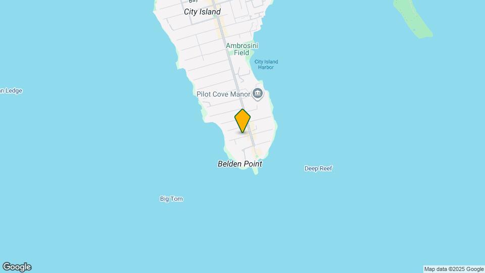 119 Rochelle St Mapa y Detalles de la Ubicación