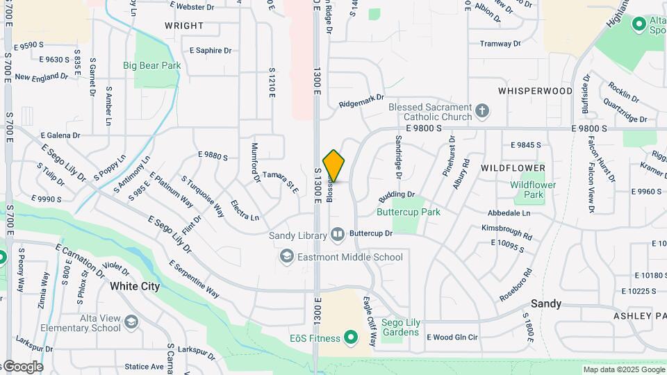 9961 Blossom Dr Map and Location Details