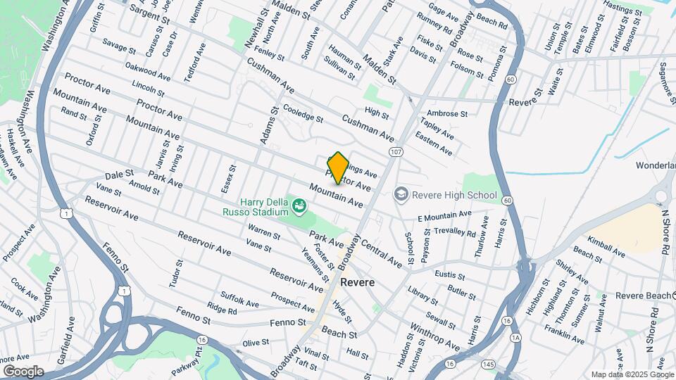 113 Mountain Ave Map and Location Details