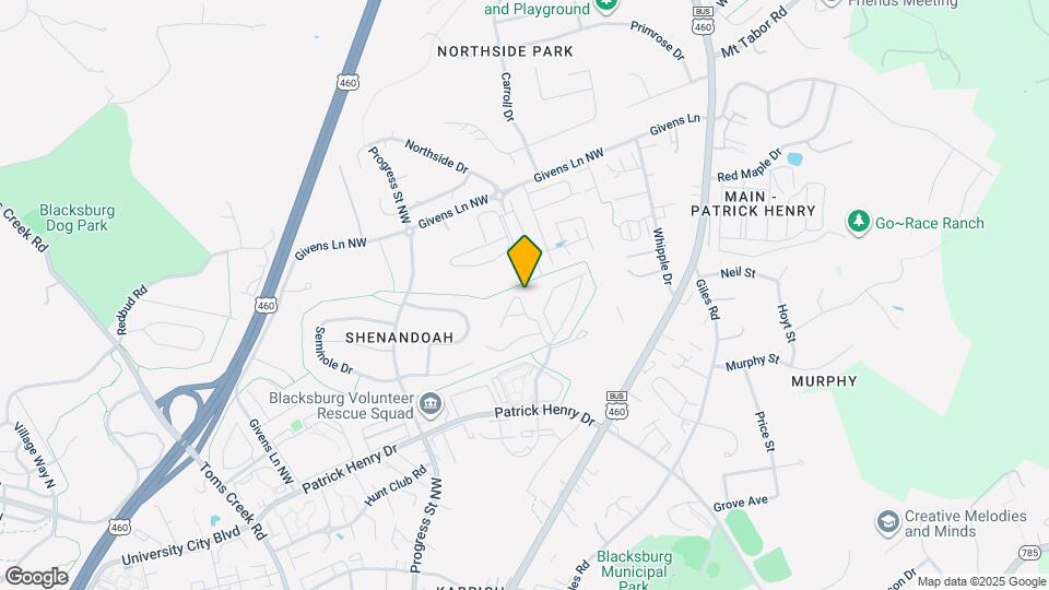 320 Pheasant Run Ct Map and Location Details