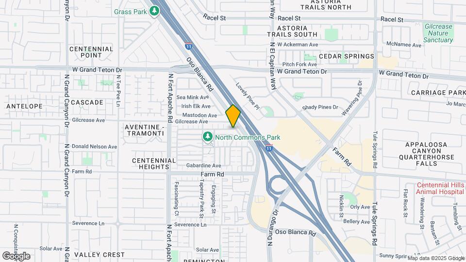 8949 Careful Canvas Ave Map and Location Details