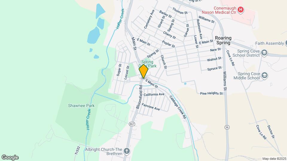 705 Bloomfield St Rentals in Roaring Spring, PA