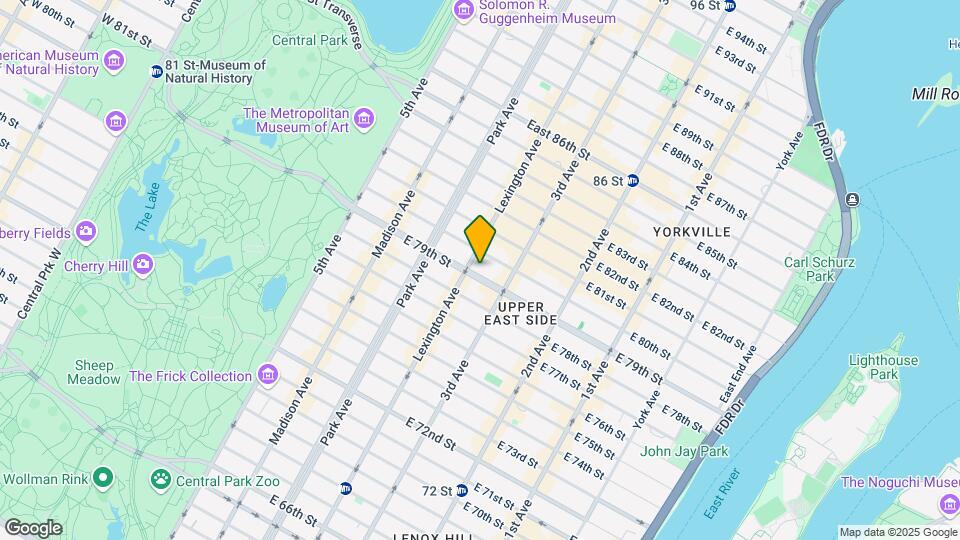161 E 79th St Map and Location Details