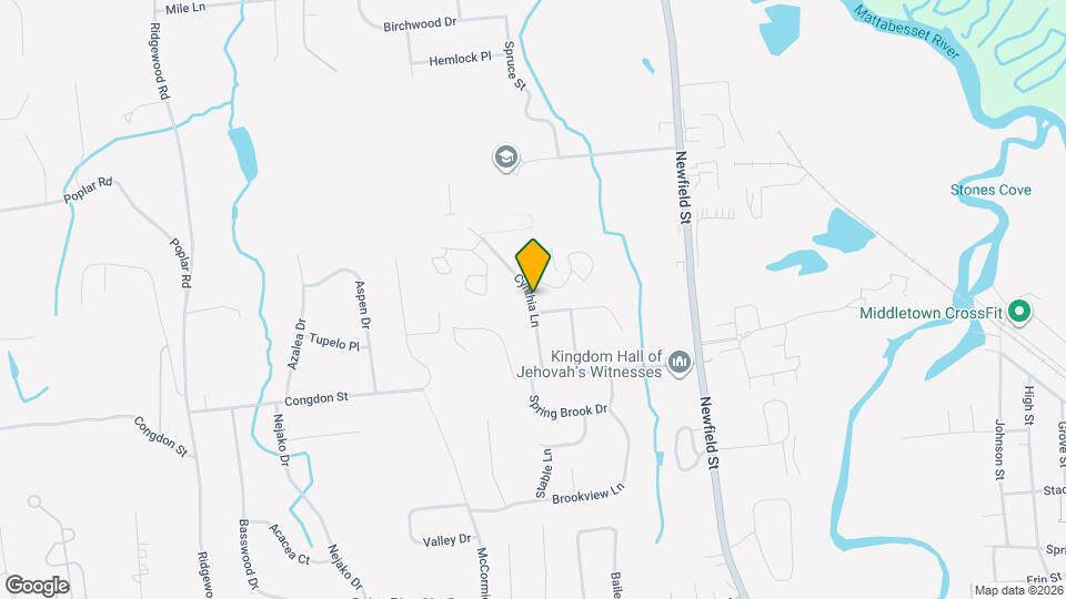 92 Cynthia Ln Map and Location Details