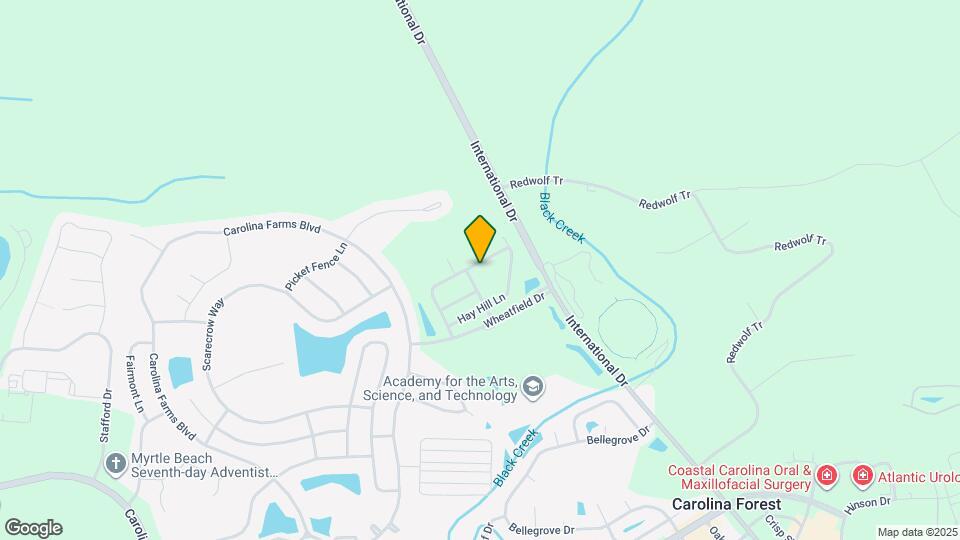 192 Mountain Ash Ln Mapa y Detalles de la Ubicación