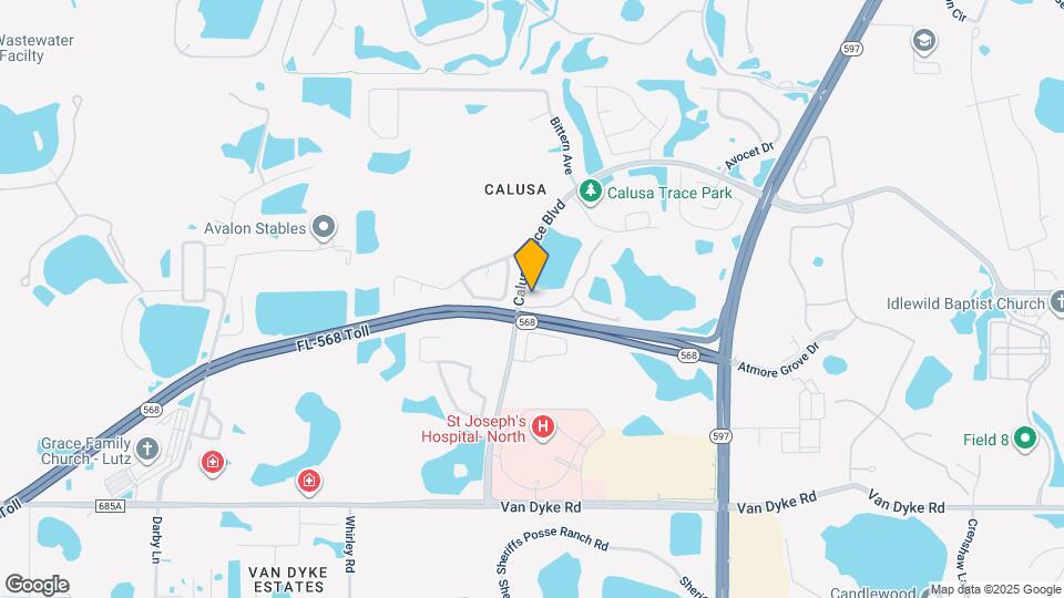 Lakeview at Calusa Trace Apartments Lutz, FL Apartments For Rent