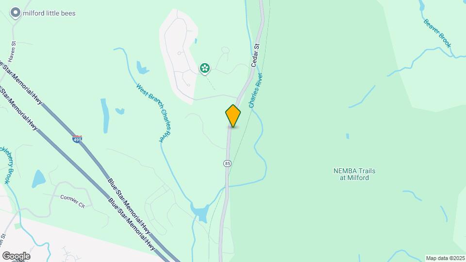 161 Cedar St Map and Location Details