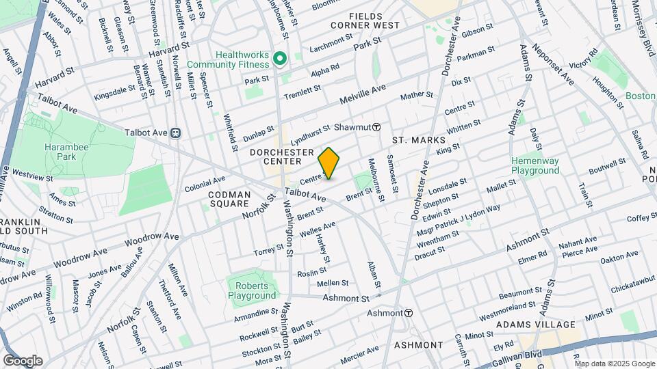 50 Lithgow St Map and Location Details