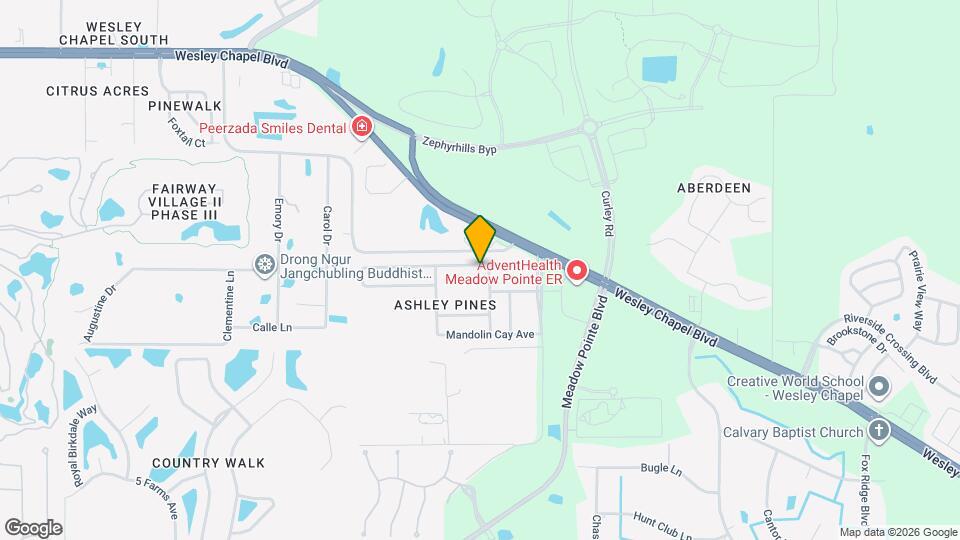 31046 Temple Stand Ave Map and Location Details