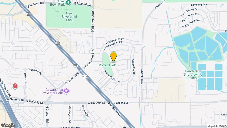 973 Cedar Pines St Map and Location Details