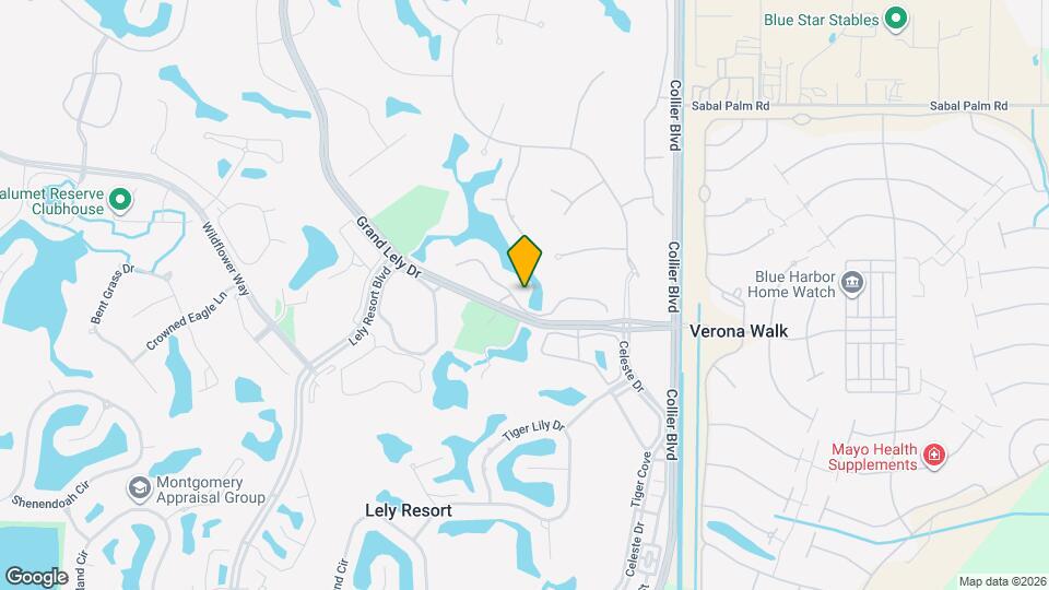 8051 Players Cove Dr, Unit 202 Mapa y Detalles de la Ubicación