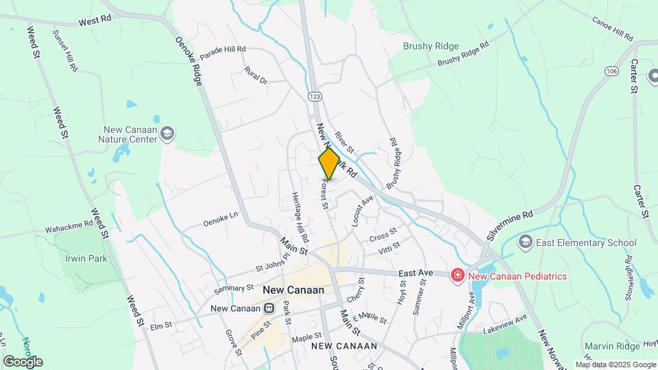 119 Forest St Map and Location Details