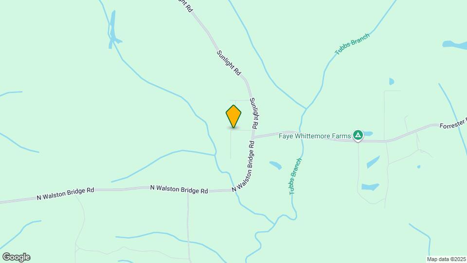 95 Meadow Ln Map and Location Details