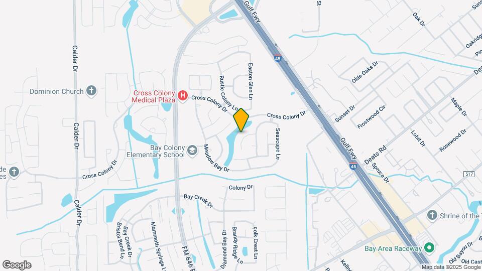 229 River Basin Ln Map and Location Details