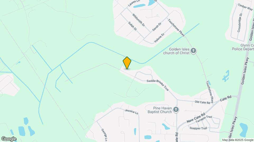 222 Saddle Brooke Trce Mapa y Detalles de la Ubicación