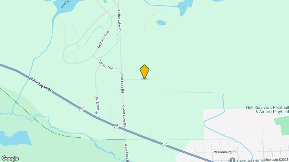 9031 Cedar Lake Rd Map and Location Details