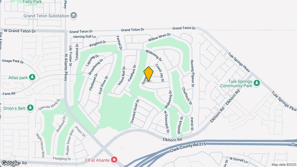2609 Desert Sparrow Ave, Unit 374 Map and Location Details