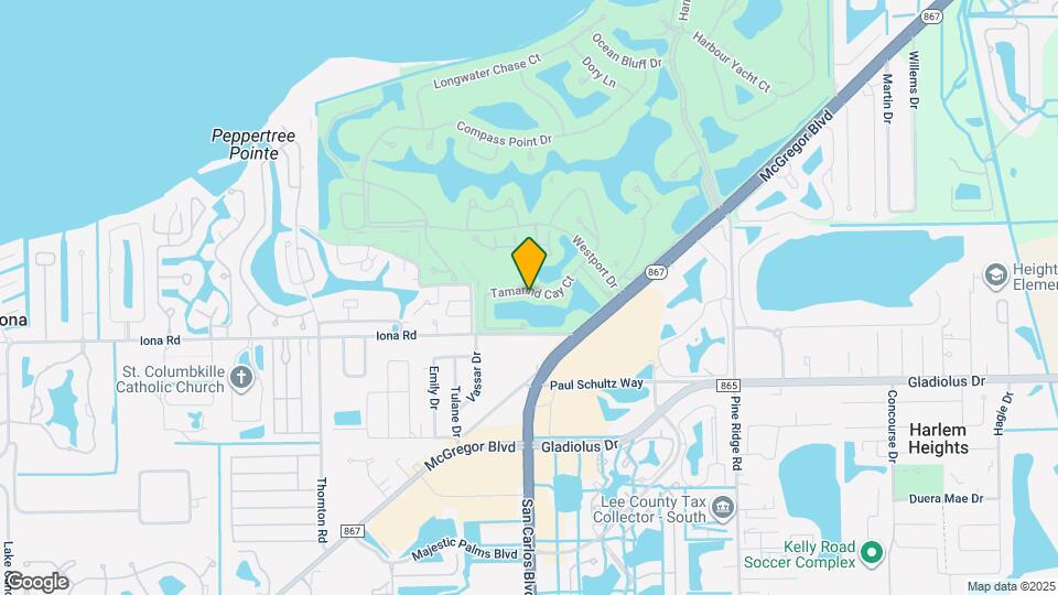 15043 Tamarind Cay Ct Map and Location Details
